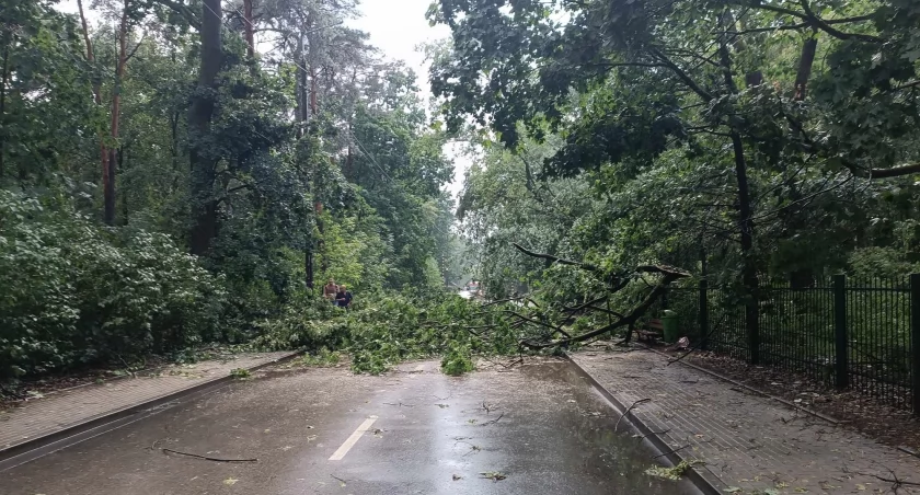 Na zdjęciu drzewa połamane w trakcie burzy 19 czerwca. Fot OSP Otwock Wólka Mlądzka 