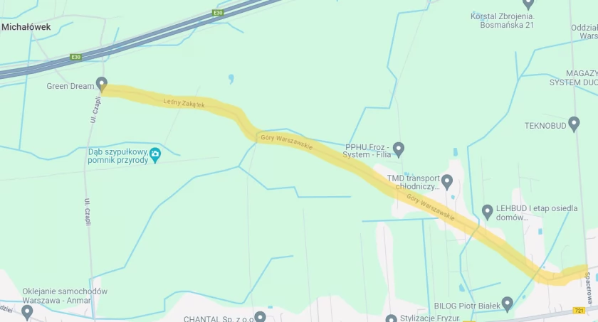 Zakres nowej drogi na terenie Boryszewa i Duchnowa. Źródło mapy: Google