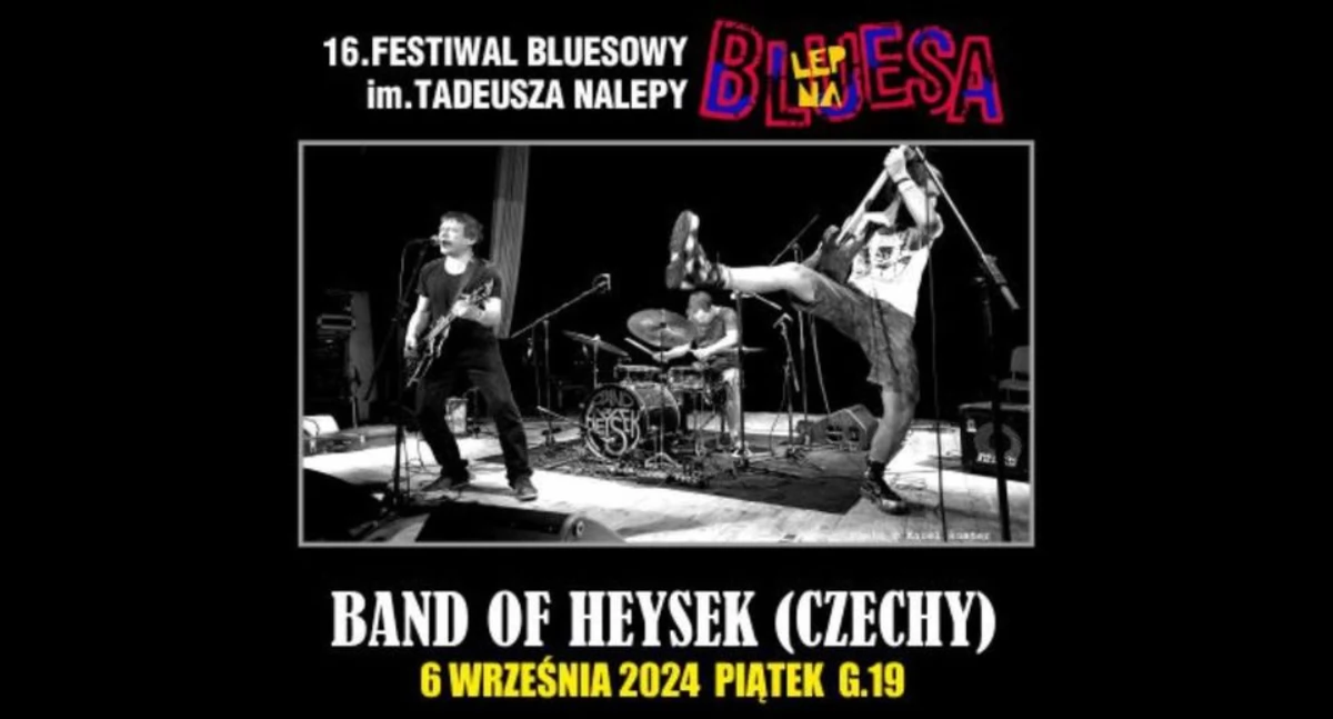 Koncerty - muzyka, Festiwal Bluesowy Tadeusza Nalepy Bluesa Józefów - zdjęcie, fotografia