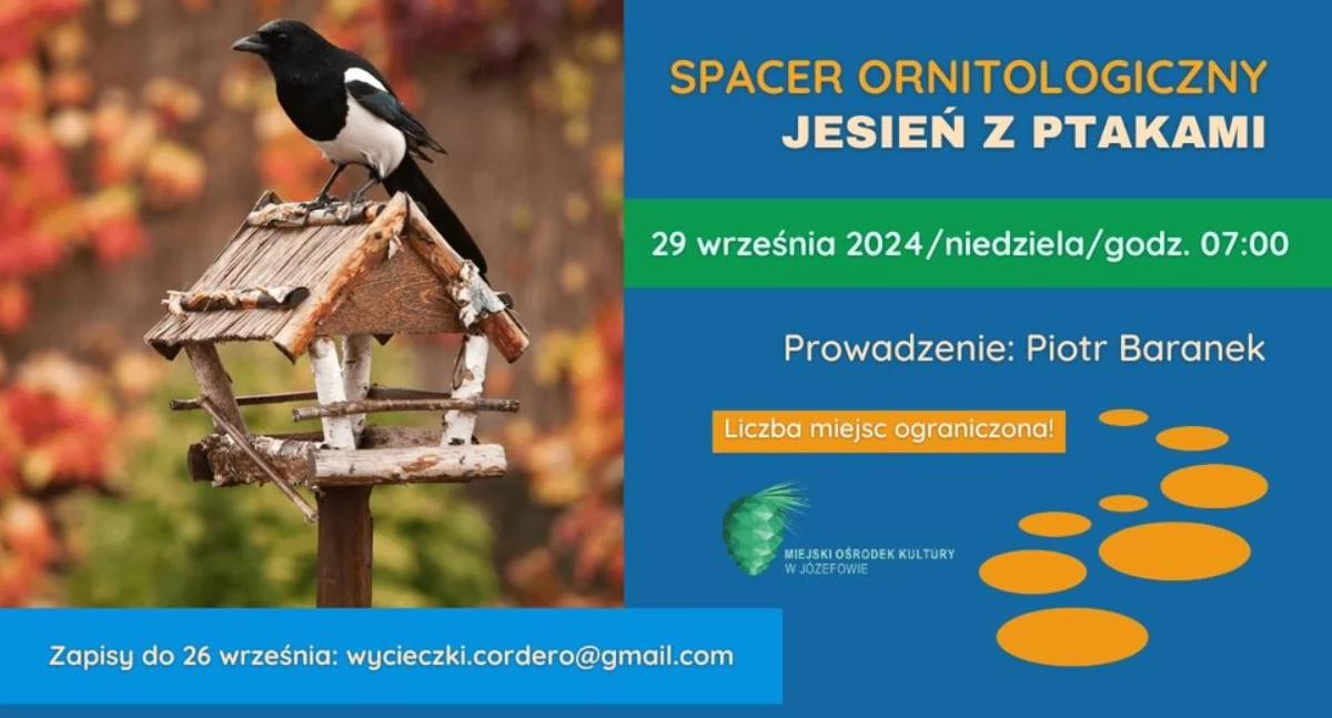 Imprezy - wydarzenia, Jesień ptakami spacer ornitologiczny - zdjęcie, fotografia