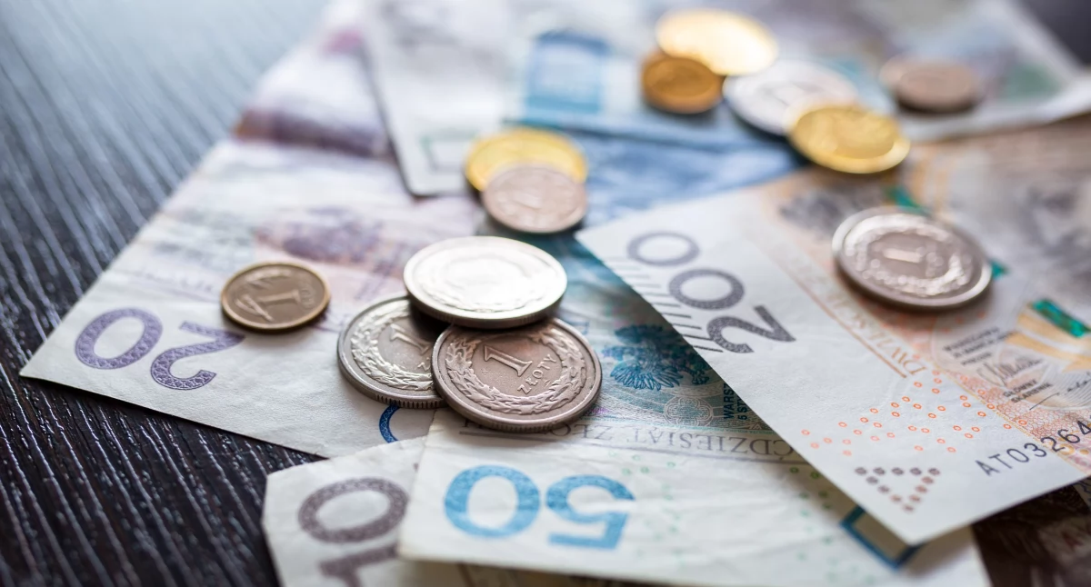 Tekst sponsorowany, trzeba płacić podatek sprzedaż Allegro Vinted - zdjęcie, fotografia