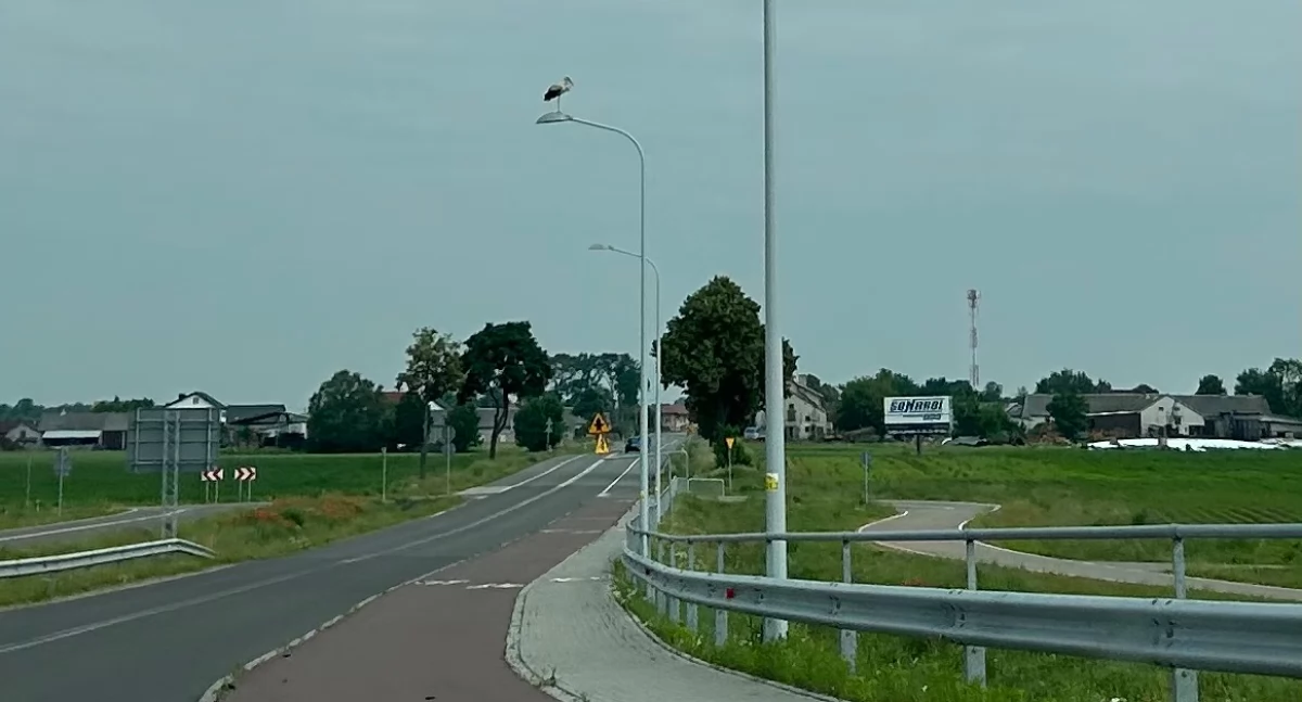 Zdjęcie Andrzej  Idziak - fotografia