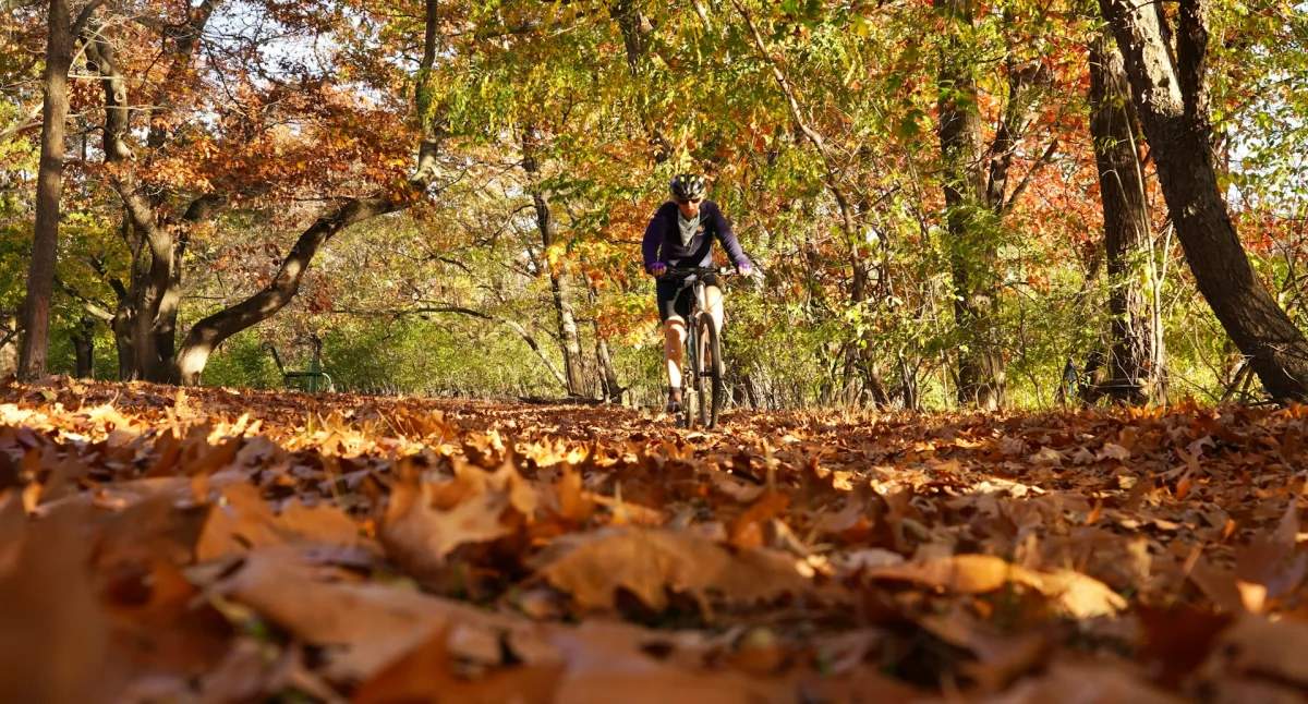 Tekst sponsorowany, Wybierasz jesienną wycieczkę rowerową pamiętaj! - zdjęcie, fotografia