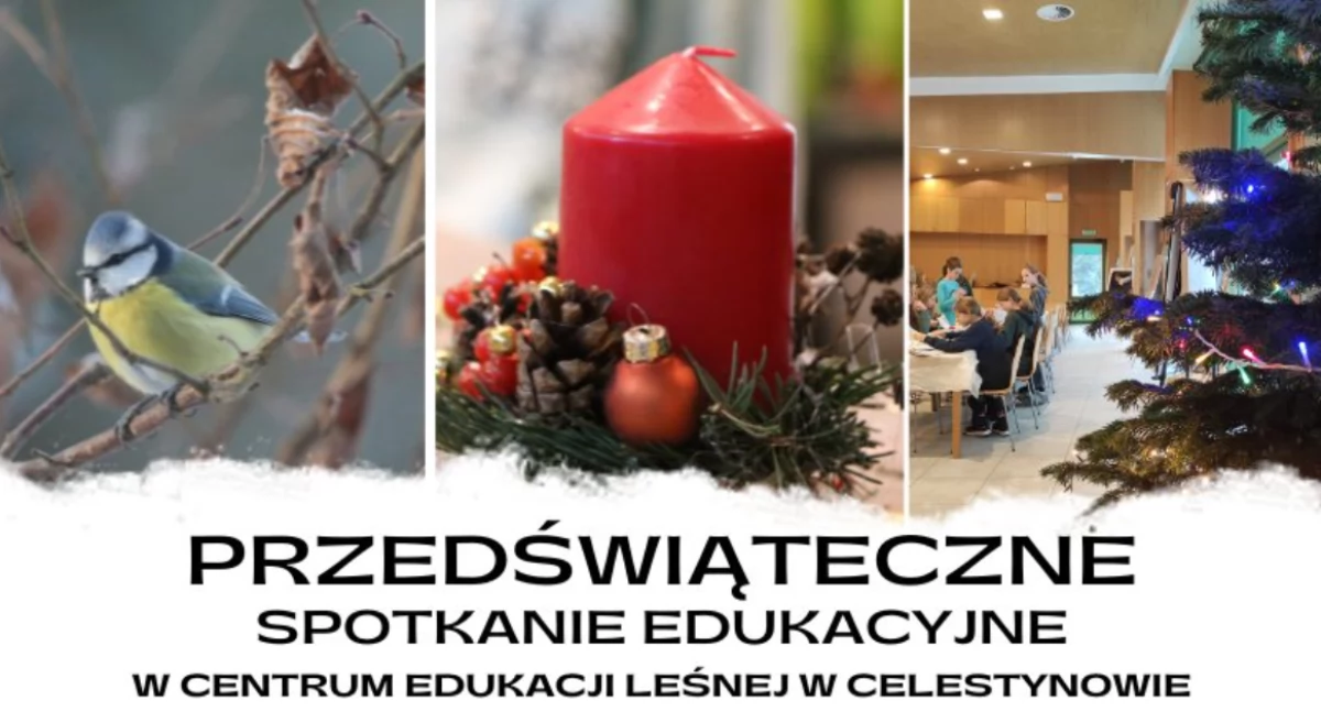 Imprezy - wydarzenia, Przedświąteczne spotkanie edukacyjne Celestynowie - zdjęcie, fotografia