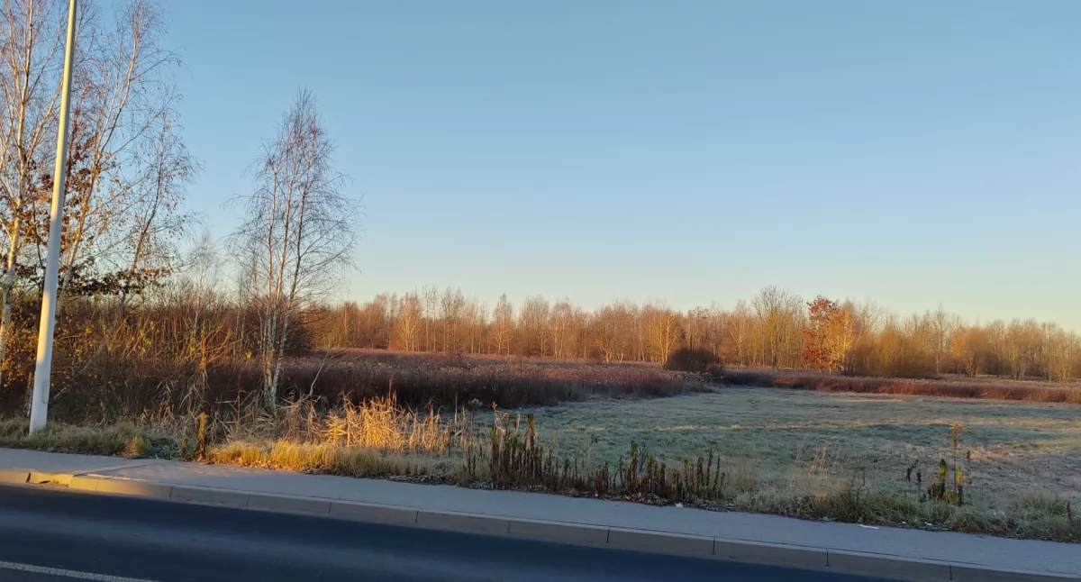 Działka przy ul. Sołtana w Otwocku - tu właśnie wkrótce ma stanąć nowy park handlowy Świderek