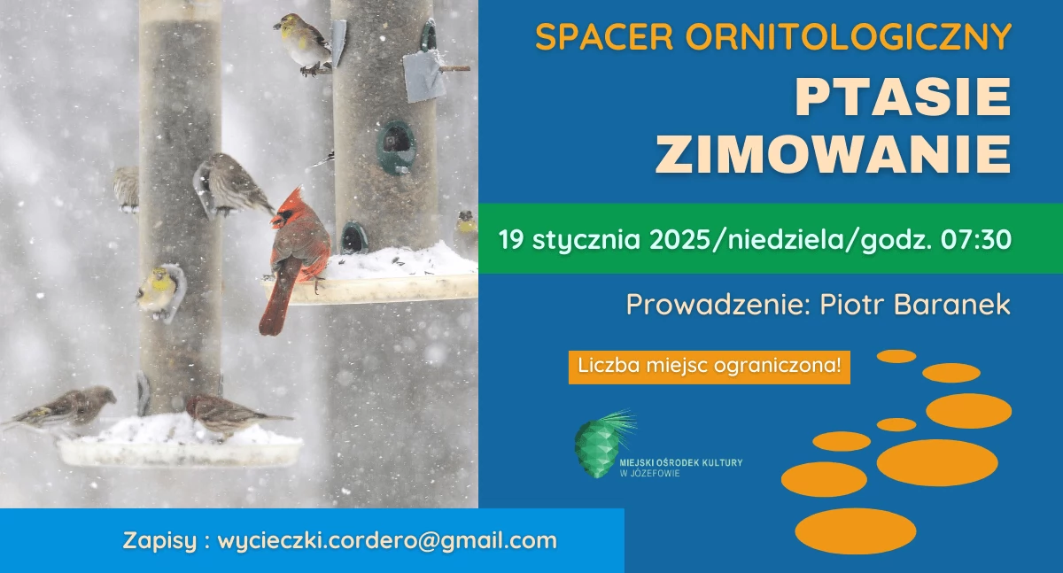 Imprezy - wydarzenia, Ptasie zimowanie spacer ornitologiczny - zdjęcie, fotografia
