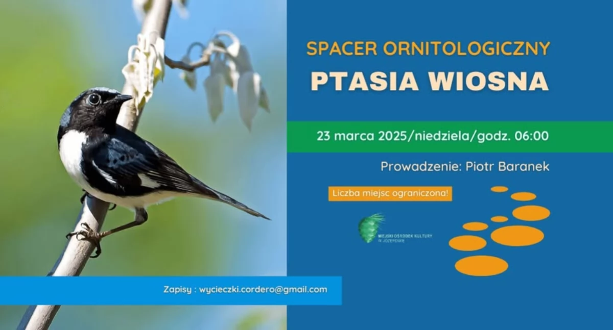 Imprezy - wydarzenia, Ptasia wiosna spacer ornitologiczny - zdjęcie, fotografia