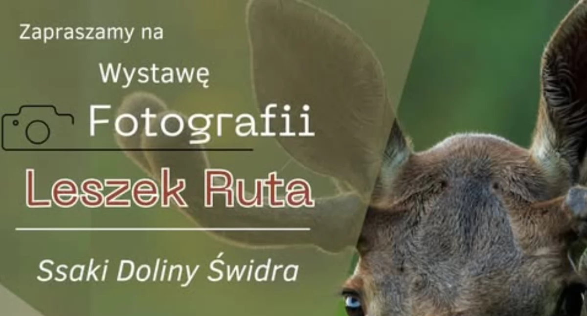 Wystawy, Ssaki Doliny Świdra wystawa spotkanie autorem zdjęć - zdjęcie, fotografia