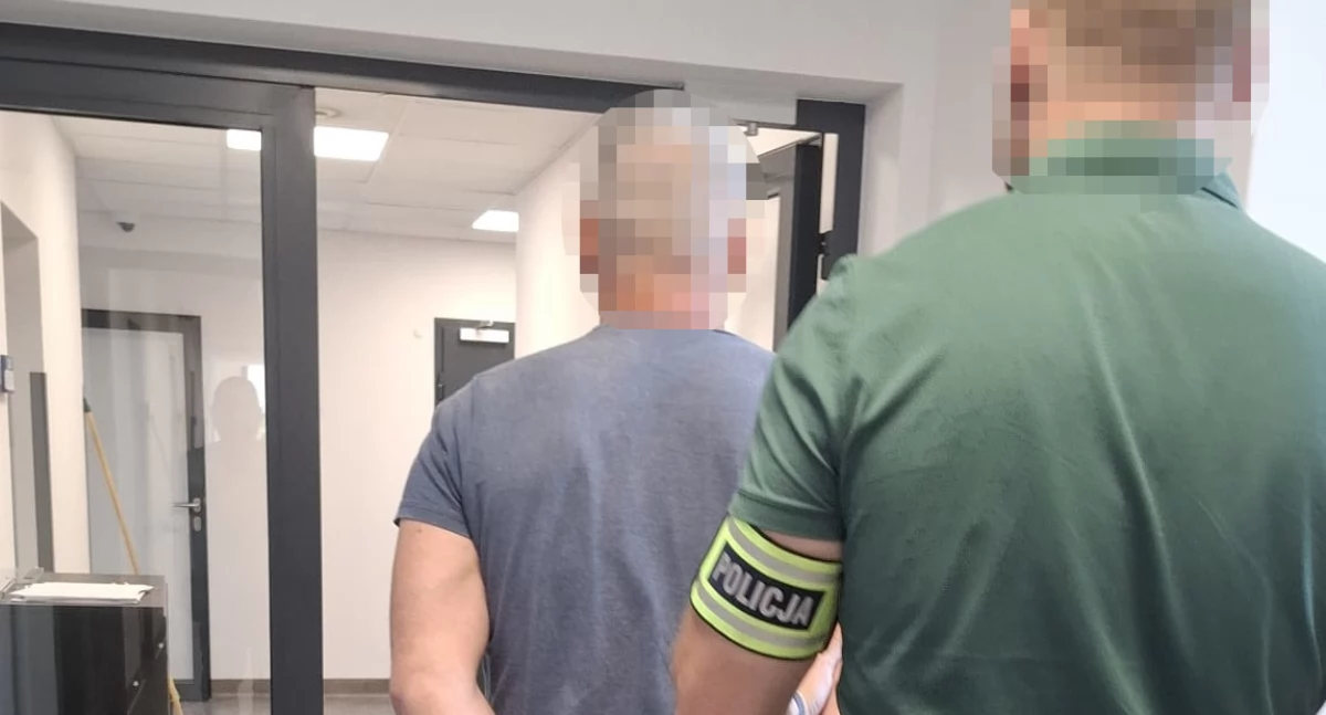 Kronika kryminalna, Drogowy oprawca! Rozjechał dzika „zabawy” - zdjęcie, fotografia