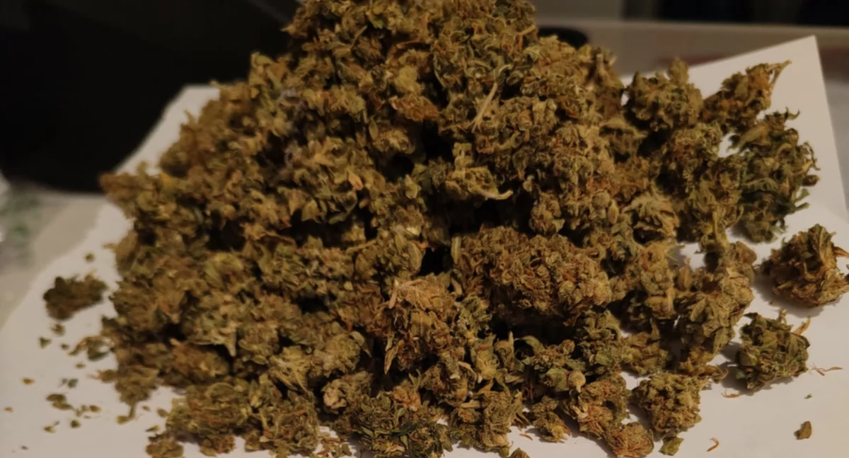 Marihuana znaleziona przy 45-letnim kierowcy. Fot. KPP Otwock