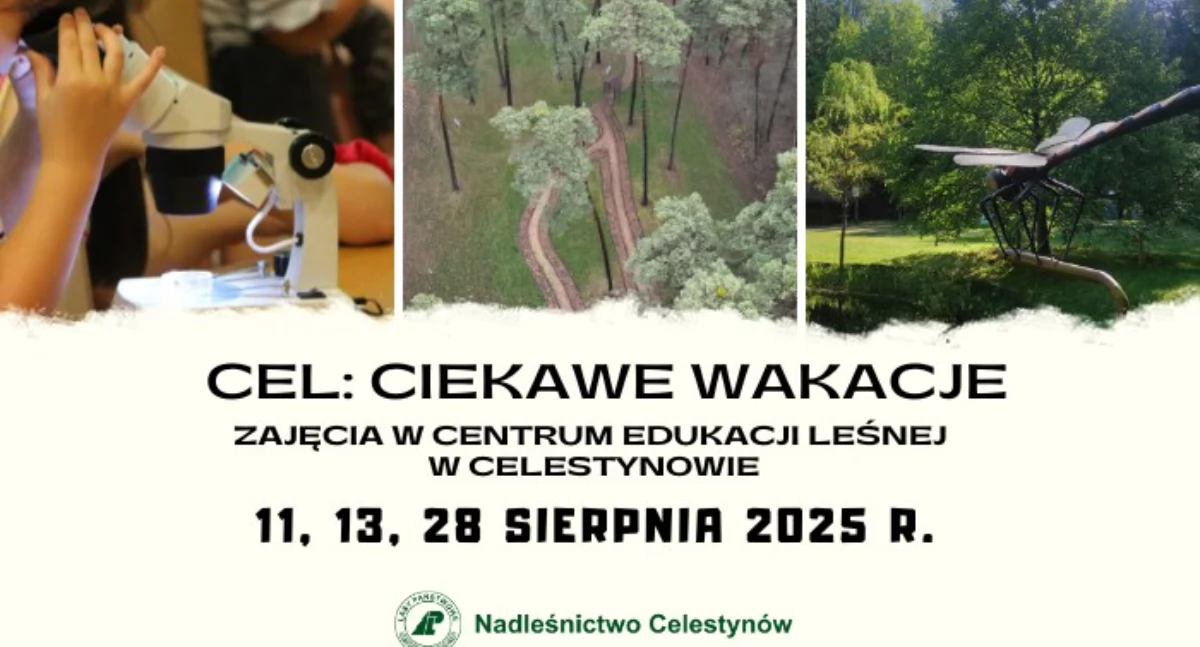 Edukacja - nauka, Odkryj leśne tajemnice wakacyjne warsztaty - zdjęcie, fotografia