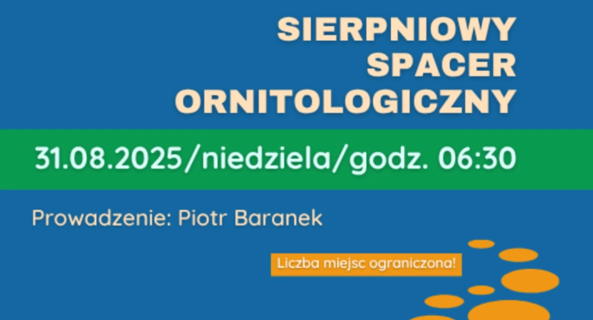 Imprezy - wydarzenia, Sierpniowy spacer ornitologiczny Józefów poznaj tajemnice świata ptaków! - zdjęcie, fotografia