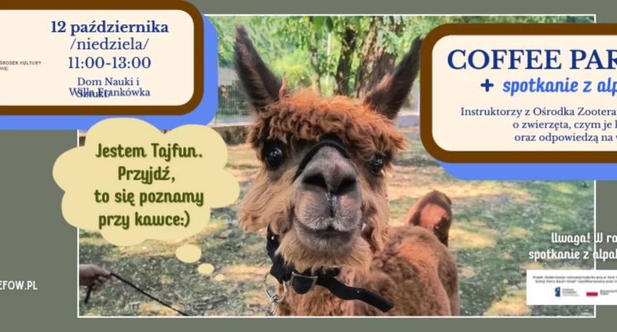 Imprezy - wydarzenia, Coffee Party spotkanie alpakami wyjątkowa niedziela Willi Frankówka - zdjęcie, fotografia