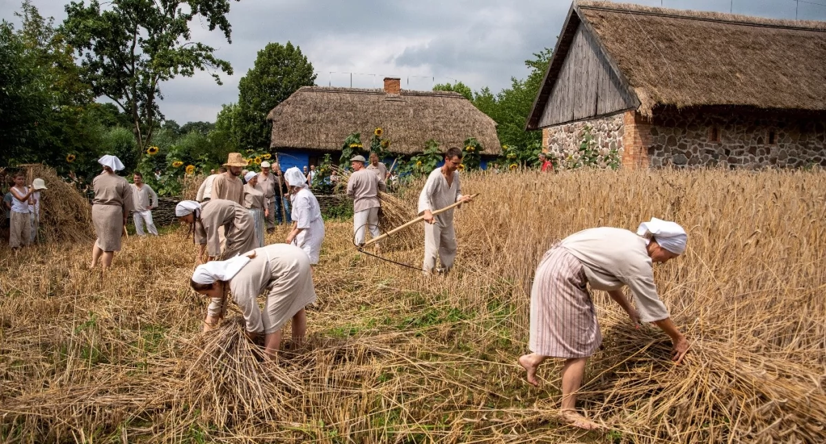 Mazowieckie, Mazowsze turystyczną potęgą! fantastyczne miejsca prestiżowymi nagrodami Polskiej Organizacji Turystycznej - zdjęcie, fotografia