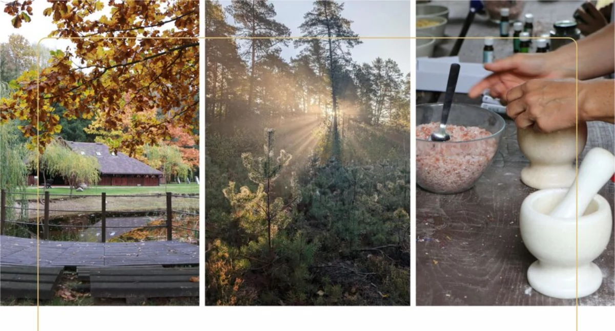Imprezy - wydarzenia, Leśna Sobota weekendowe spotkanie Centrum Edukacji Leśnej Celestynowie - zdjęcie, fotografia