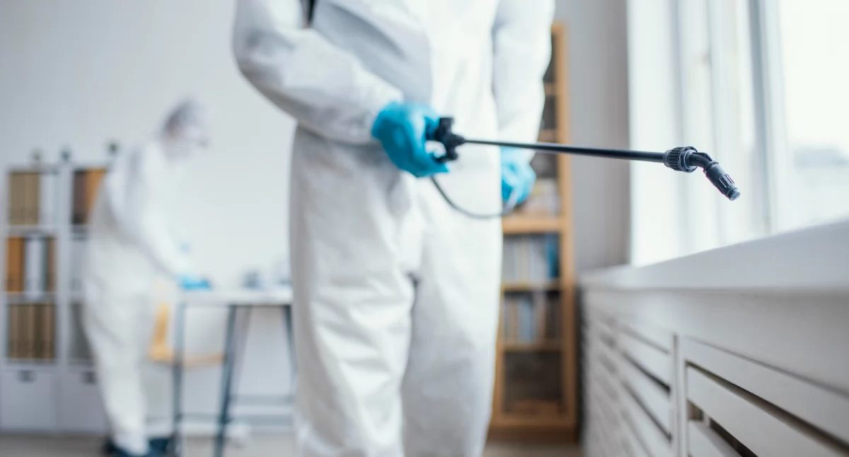 Tekst sponsorowany, Poradnik Skuteczna dezynsekcja Bielanach Warszawie - zdjęcie, fotografia