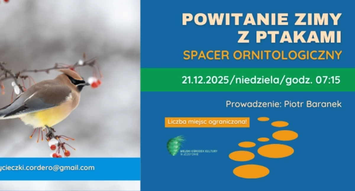 Imprezy - wydarzenia, Zimowy poranek wśród skrzydeł Spacer ornitologiczny Józefowie! - zdjęcie, fotografia