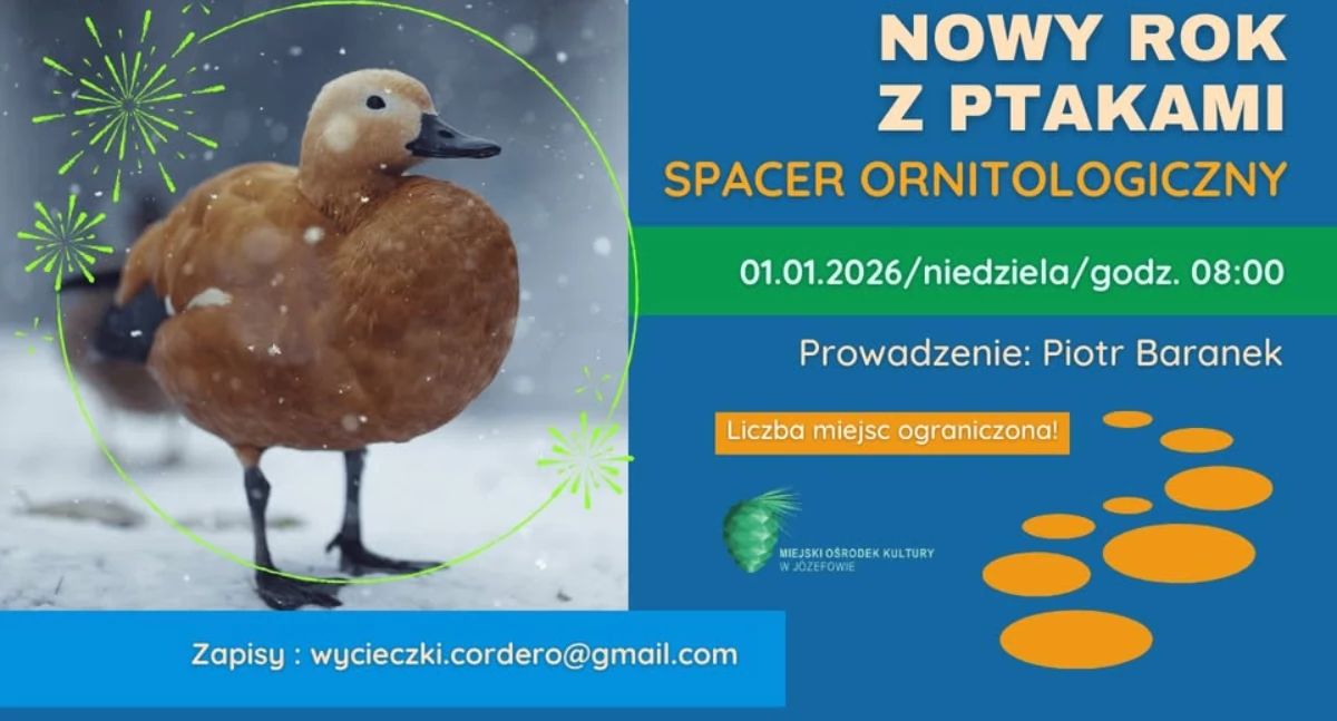 Imprezy - wydarzenia, Spacer ornitologiczny „Hangover Count” - zdjęcie, fotografia