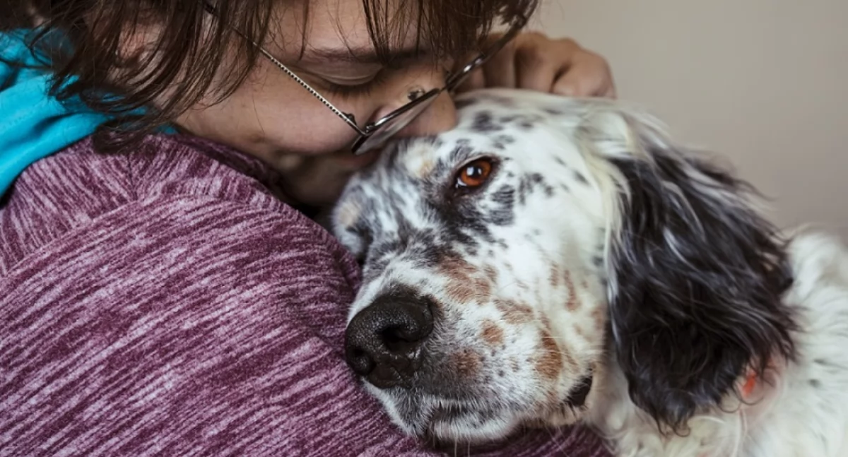 Tekst sponsorowany, mówi zachowanie Zoopsychologia praktyce - zdjęcie, fotografia