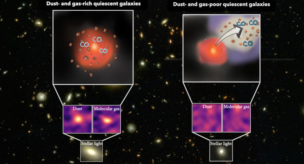 Ilustracja pokazująca ukrytą różnorodność nieaktywnych galaktyk (wyjaśnienie niżej). Źródło: NCBJ