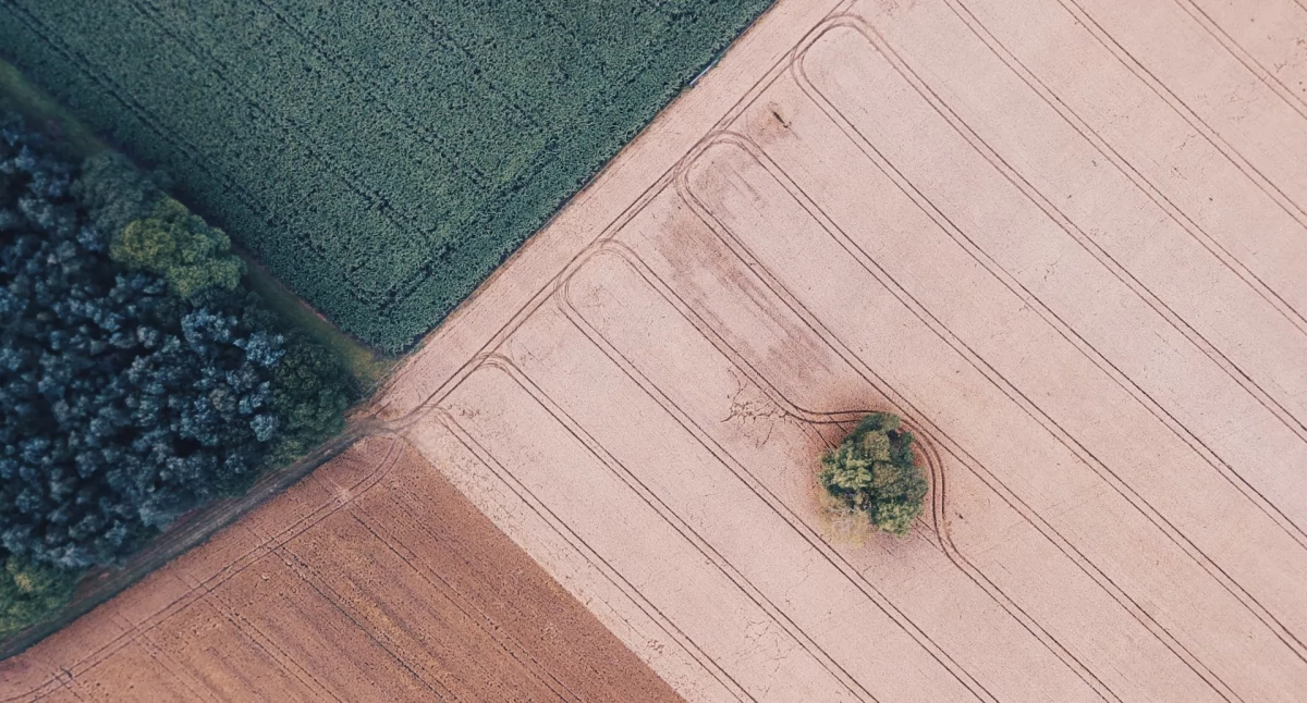 Tekst sponsorowany, Numer działki mapie online szybko ustalić - zdjęcie, fotografia