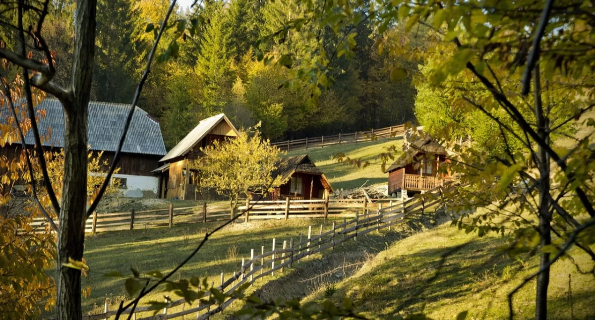 Tekst sponsorowany, zaplanować przydomową zieleń żeby ogród funkcjonalny przez cały - zdjęcie, fotografia