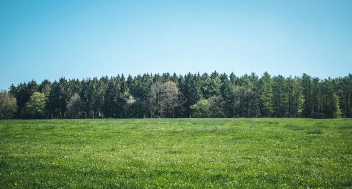 Tekst sponsorowany, Działka lupą gdzie sprawdzić najważniejsze - zdjęcie, fotografia
