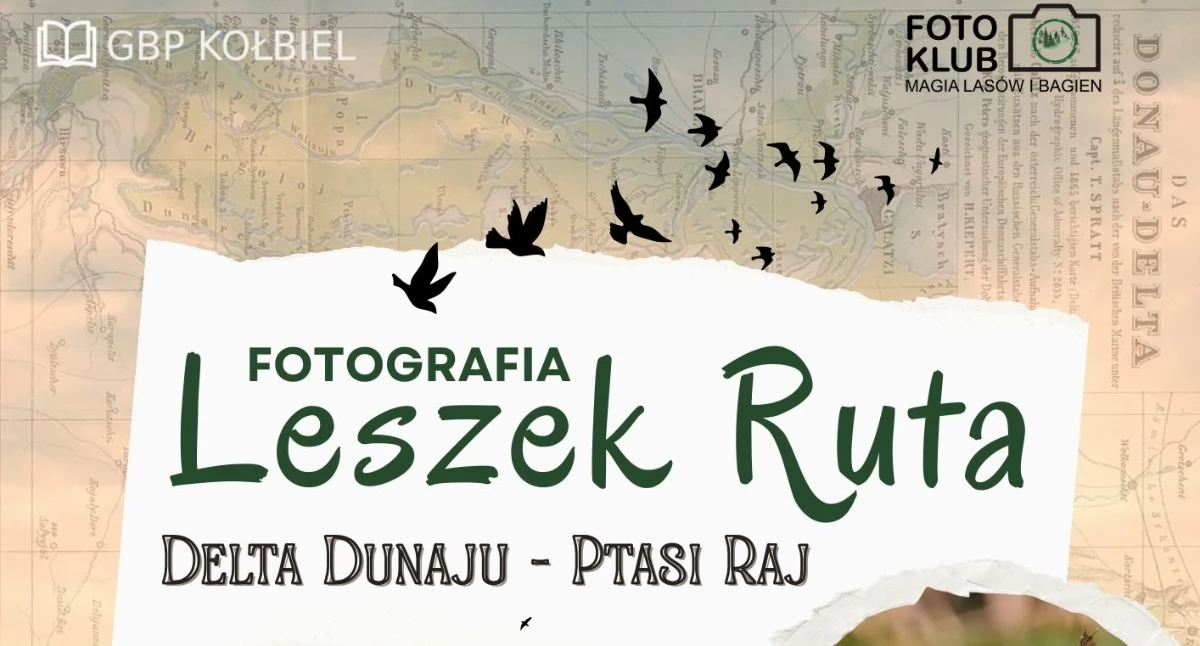Film - fotografia, labiryncie trzcin Delta Dunaju obiektywie Leszka - zdjęcie, fotografia