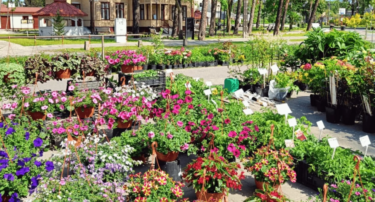 Imprezy - wydarzenia, Wiosenny kiermasz ogrodniczy Józefowie - zdjęcie, fotografia