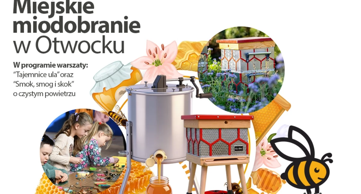 Ekologia, Miejskie miodobranie pasiece recyklingu - zdjęcie, fotografia