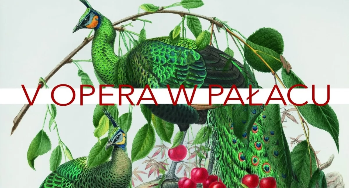 Koncerty - muzyka, Opera Pałacu Jubileuszowa edycja lipca Otwocku Wielkim - zdjęcie, fotografia
