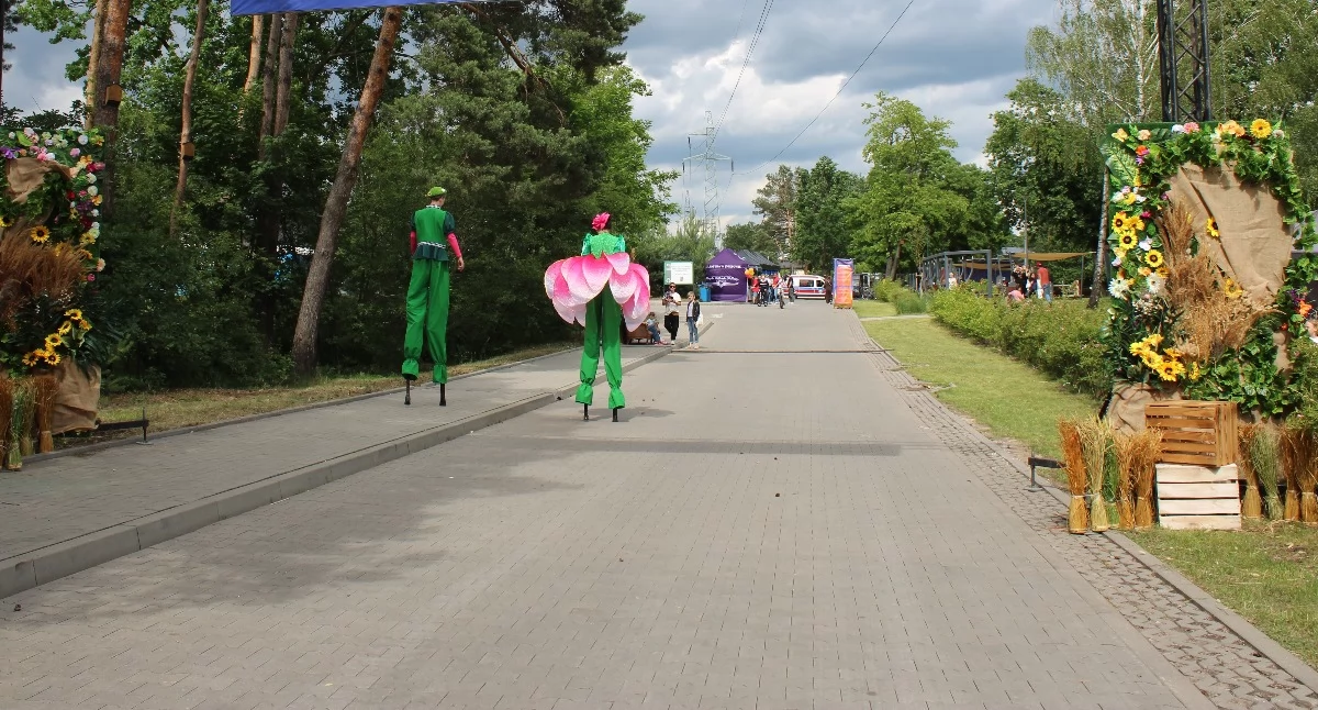 Józefów. Droga między PSZOK a terenem rekreacyjnym (zamknięta dla ruchu podczas imprezy na początku lata). Fot. archiwum
