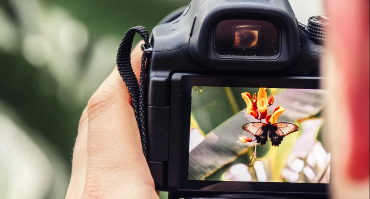 Konkurs, Dzika natura progiem rusza Powiatowy Konkurs Fotograficzny - zdjęcie, fotografia