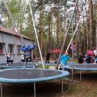 Fotka nr 4 z 13