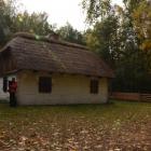 zdjęcie nr 48