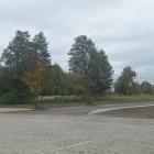 zdjęcie nr 7