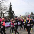zdjęcie nr 37