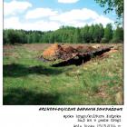 zdjęcie nr 10