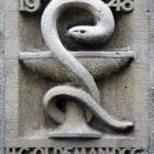 zdjęcie nr 7