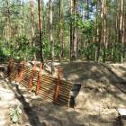 zdjęcie nr 45