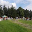 zdjęcie nr 16