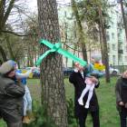 zdjęcie nr 10