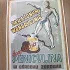zdjęcie nr 31
