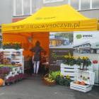 zdjęcie nr 11
