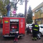 zdjęcie nr 16