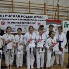 zdjęcie nr 239