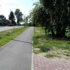 Fotka nr 1 z 2