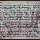 zdjęcie nr 22