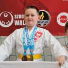 zdjęcie nr 172