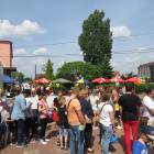 zdjęcie nr 8